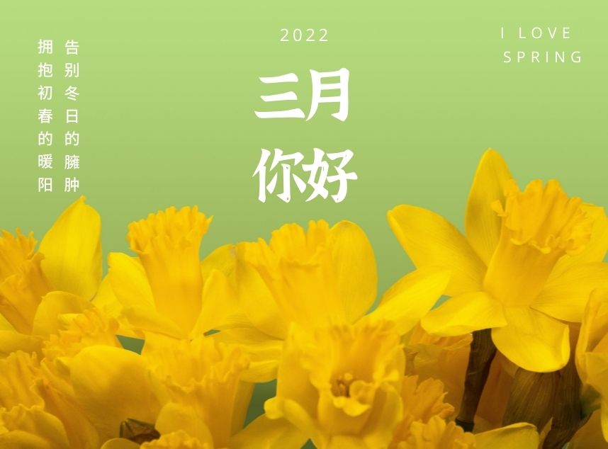 合成石 合成石